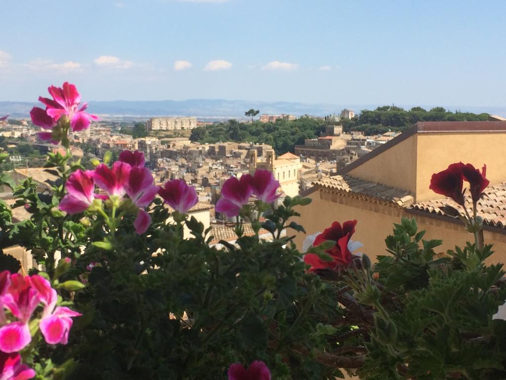 Апартаменты Attico Da Rosa Con Vista Spettacolare A 360 Gradi Кальтаджироне Экстерьер фото